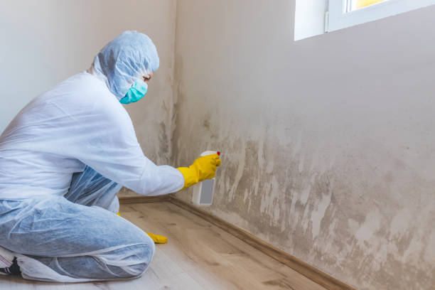 Crawl Space Mold Remediation treatment of floor joists in Courtland